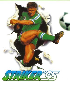 Striker 95 cover art for DOS