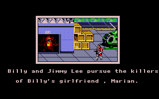 Double Dragon II: The Revenge