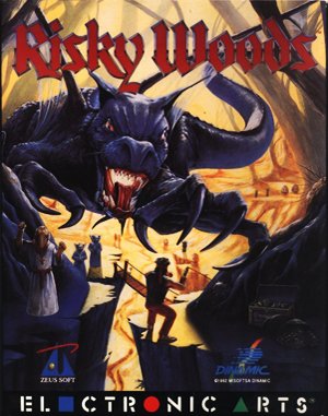 Risky Woods cover art for DOS