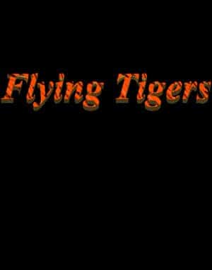 Flying Tigers cover art for DOS
