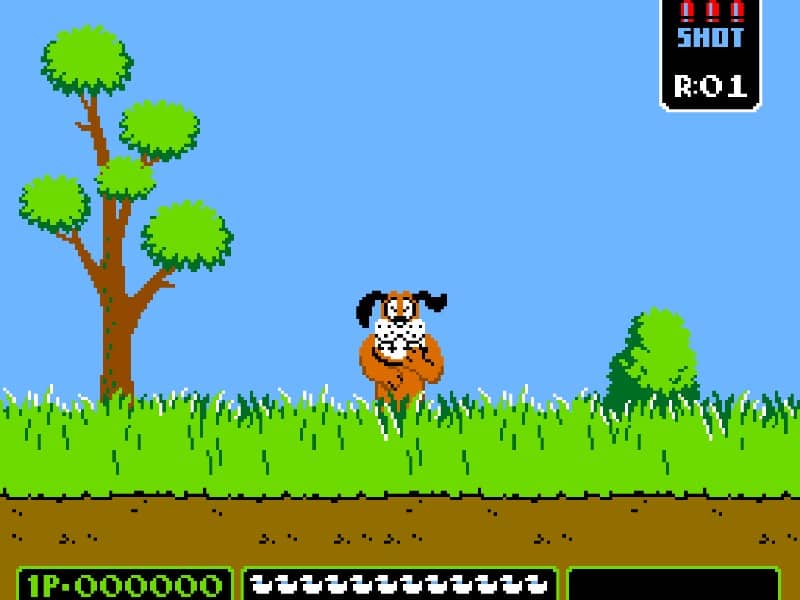 Vs. Duck Hunt cover art for Arcade