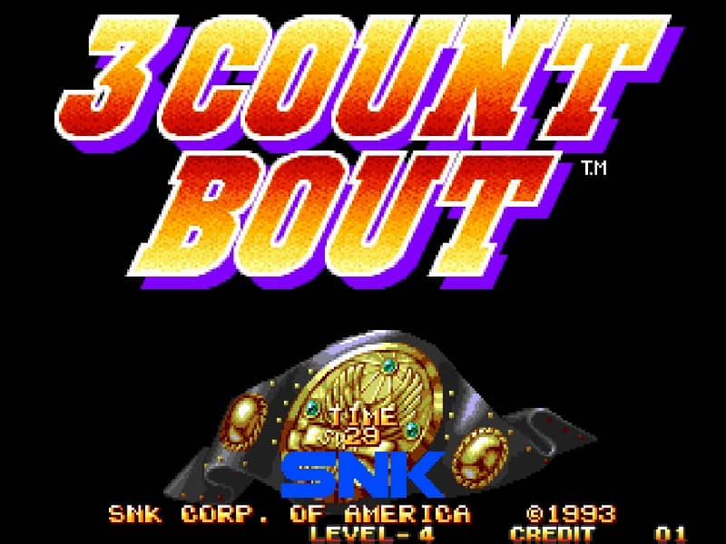 3 Count Bout cover art for Arcade