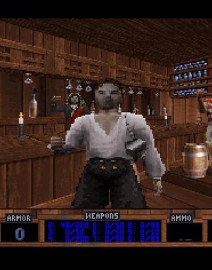Plunder & Pillage cover art for DOS