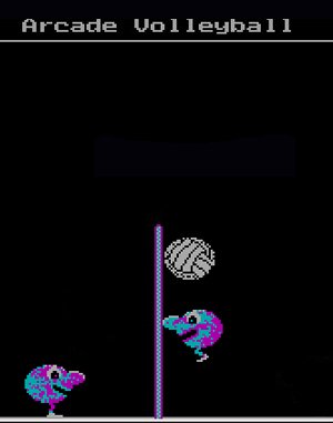 Arcade Volleyball cover art for DOS