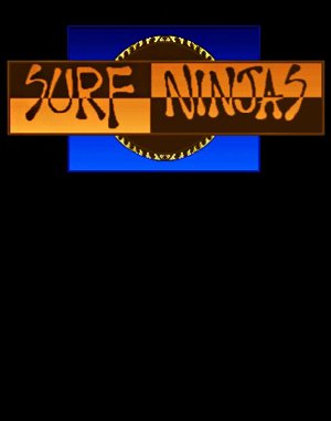 Surf Ninjas cover art for DOS