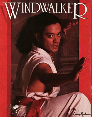 Windwalker cover art for DOS